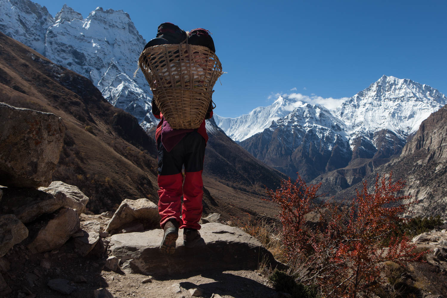 Himlung Expedition Nepal